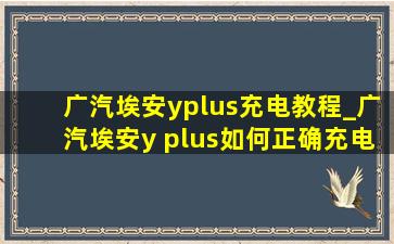 广汽埃安yplus充电教程_广汽埃安y plus如何正确充电